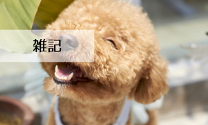 雑記